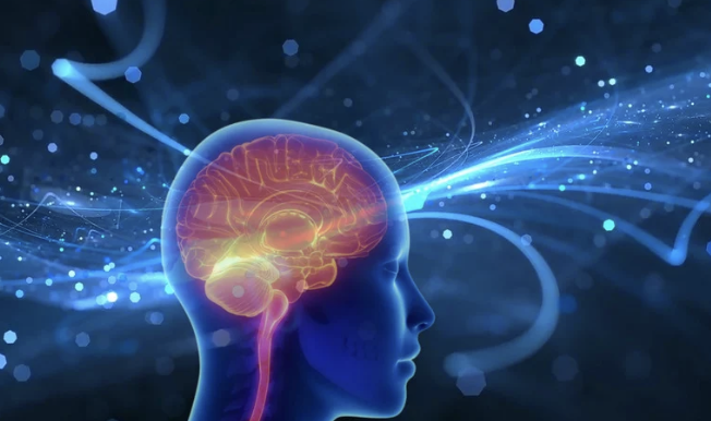 Why Your Brain Talks You Out of the Things That Would Actually Help You